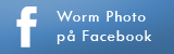Worm Photo p Facebook